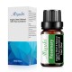 10ml Rosemary Essential Oil 10ml Rosemary Essential Oil
