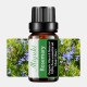 10ml Rosemary Essential Oil 10ml Rosemary Essential Oil